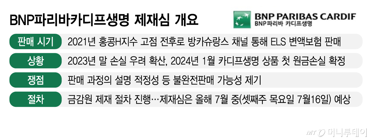 BNP파리바카디프생명 제재심 개요/그래픽=김지영