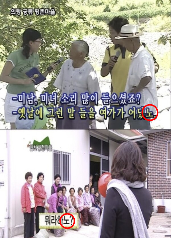 MBC 지역 프로그램 '얍! 활력천국' 캡처본. /사진=뉴스1
