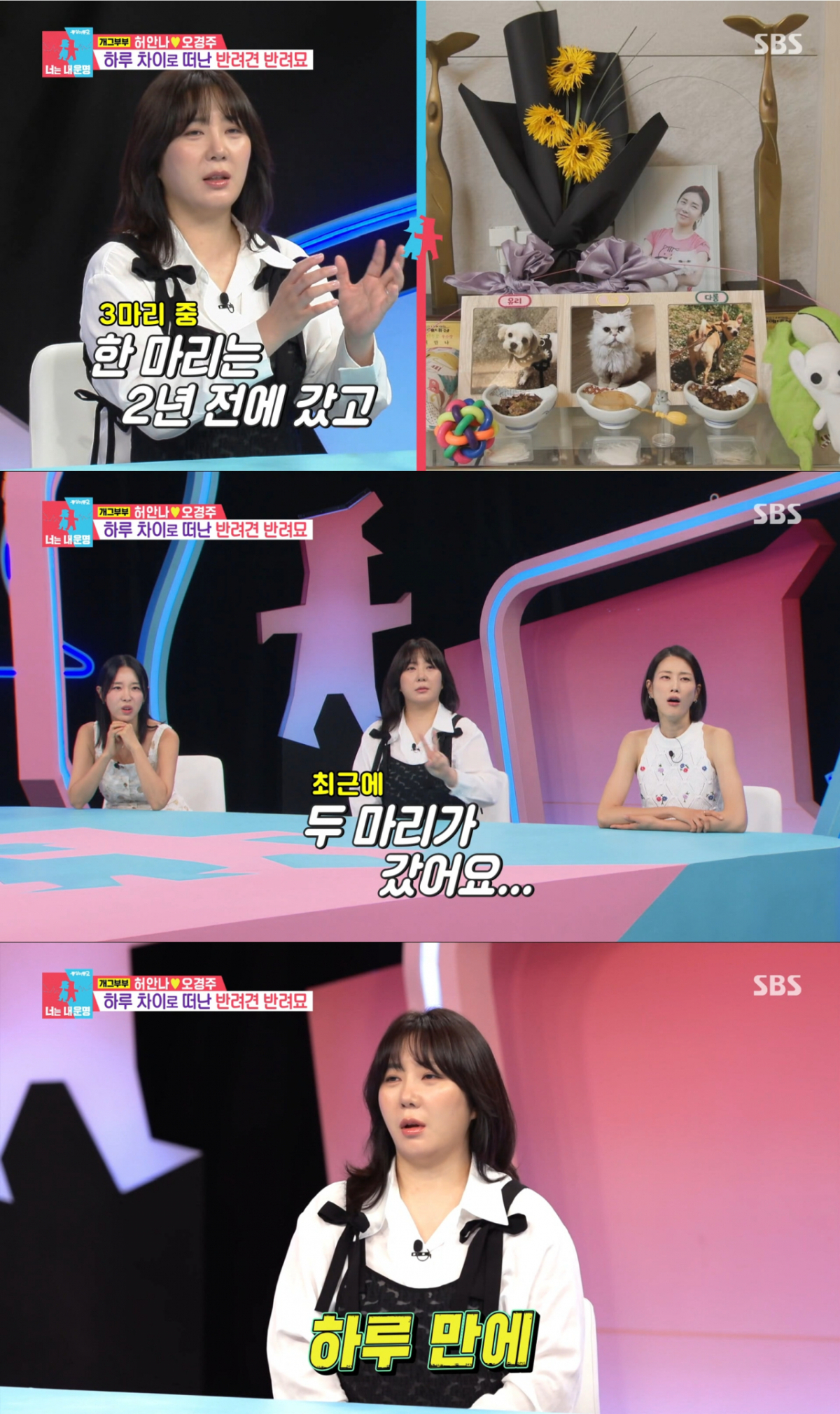 강아지와 고양이를 떠나보낸 허안나. /사진=SBS '동상이몽2 너는 내 운명' 캡처