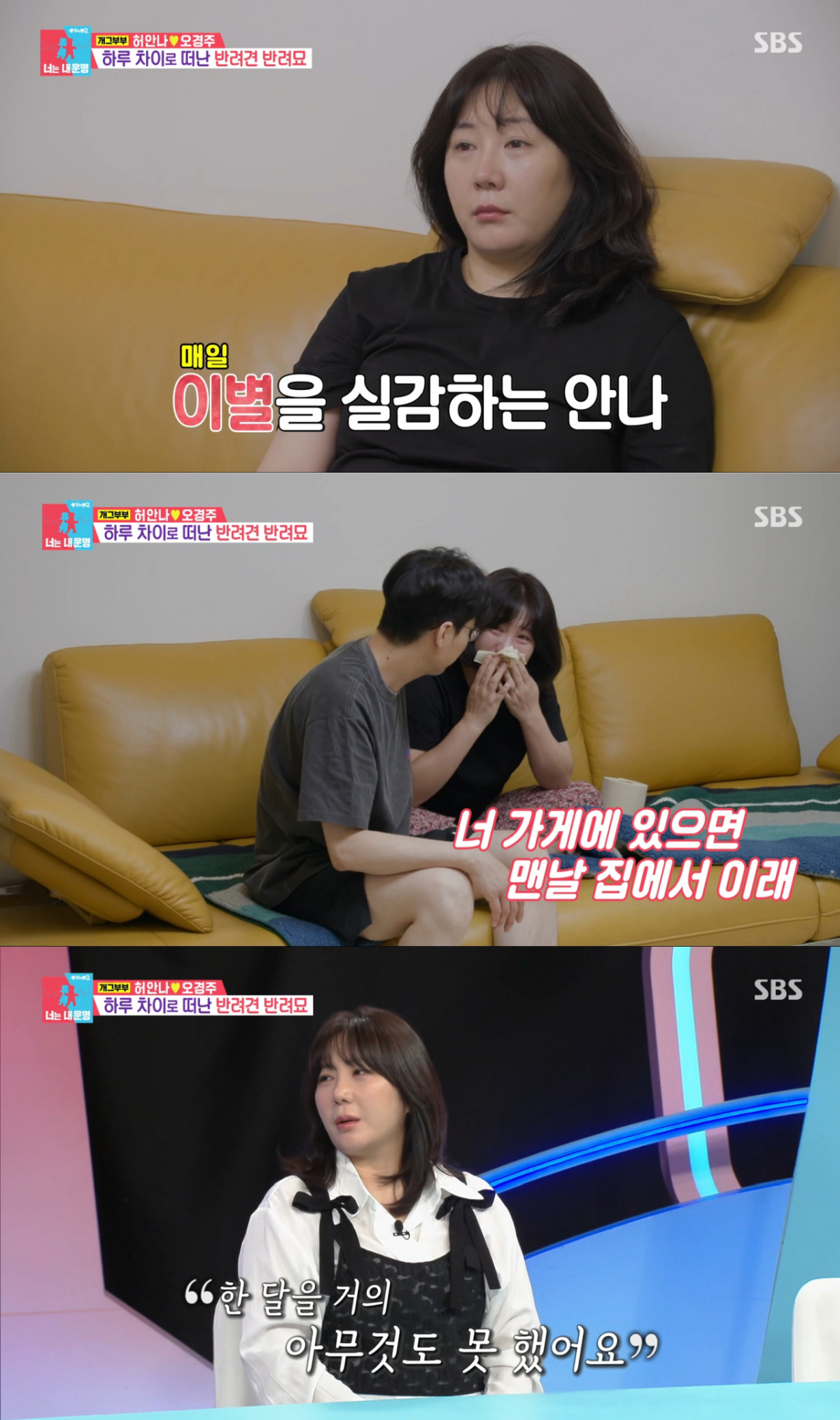 반려묘, 반려견이 떠난 후 힘든 시간을 보낸 허안나. /사진=SBS '동상이몽2 너는 내 운명' 캡처