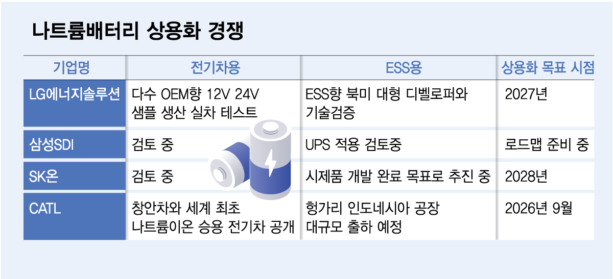 소듐이온배터리 상용화 경쟁./그래픽=김다나