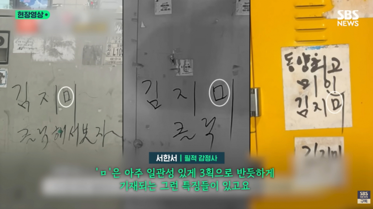서울 곳곳에서 '김지미'가 들어간 정체불명 낙서 수백개가 발견됐다. /사진=SBS 방송화면 캡처