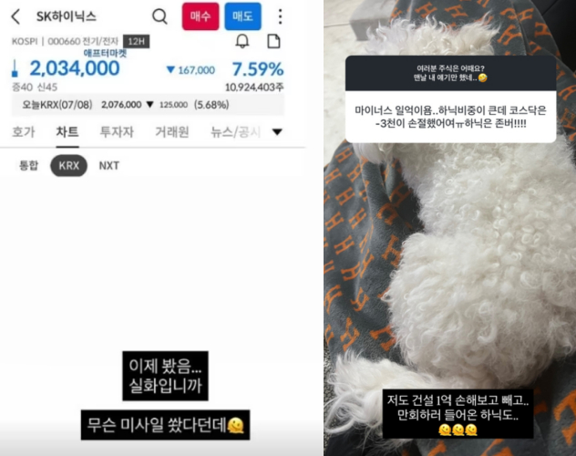 방송인 미자(41·본명 장윤희)가 고점에 SK하이닉스 주식에 투자했다고 털어놨다./사진=미자 SNS