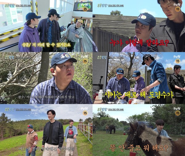/사진=tvN