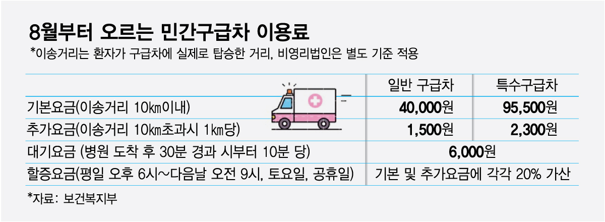 이송처치료 기준./사진=보건복지부