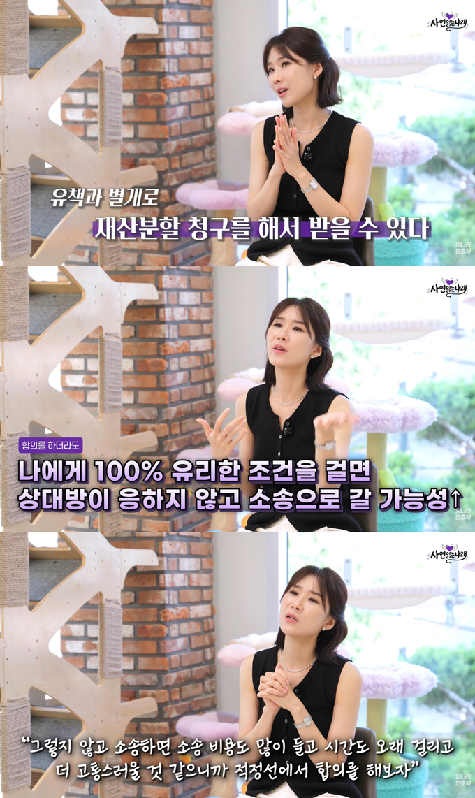 회사 직원과 불륜을 저질러 아내에게 이혼을 요구받은 40대 남성이 재산분할에 대한 고민을 털어놨다. /사진=유튜브 채널 '양나래 변호사' 영상