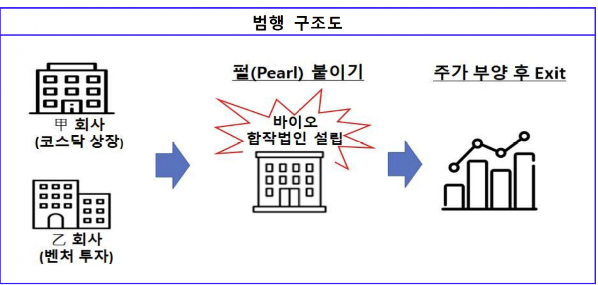 범행 구조도. /사진제공=서울남부지검