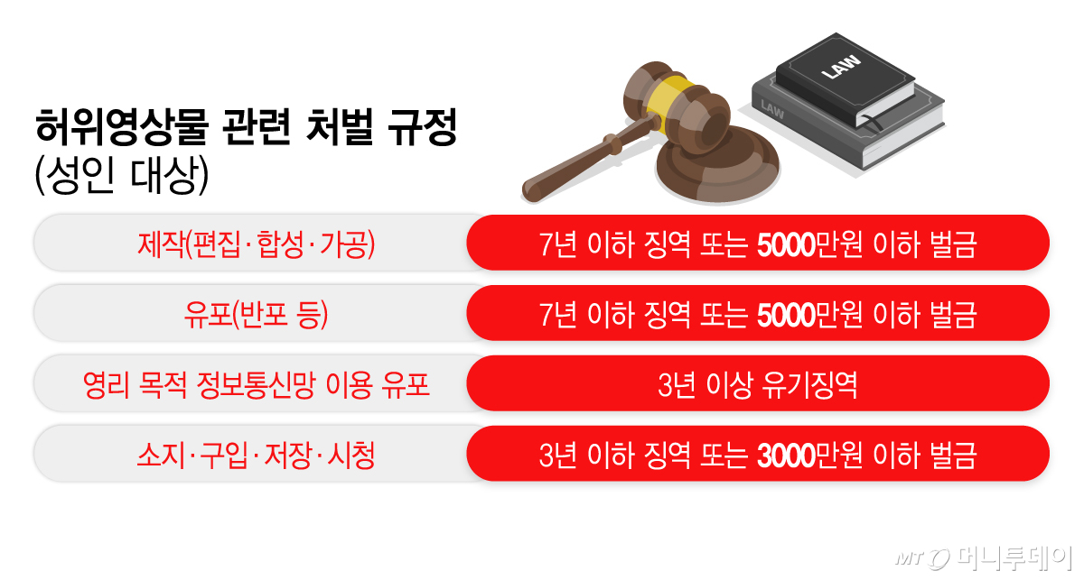 허위영상물 관련 처벌 규정(성인 대상)/그래픽=이지혜