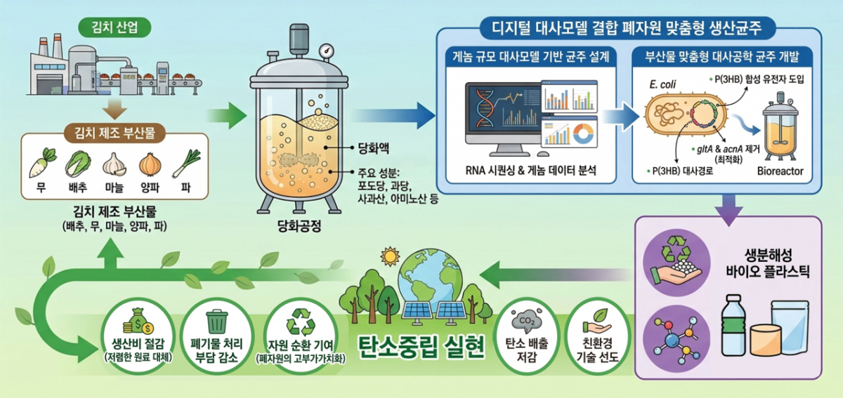 김치 부산물 기반 바이오플라스틱 생산 모식도 /사진=세계김치연구소