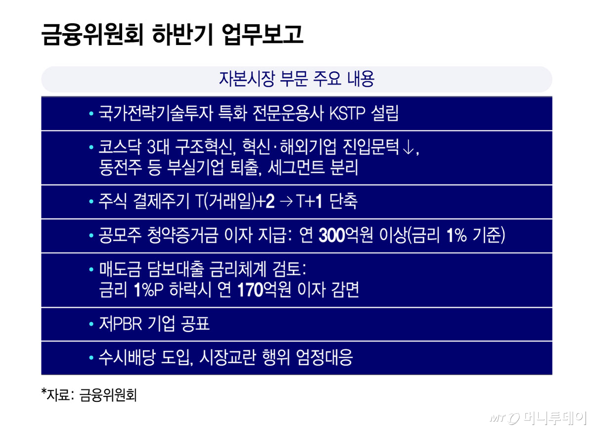 금융위원회 하반기 업무보고/그래픽=윤선정