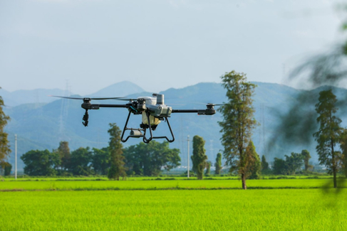 대동의 DJI 농업용 드론 T25가 농업 현장을 비행하고 있다. (출처: 대동)