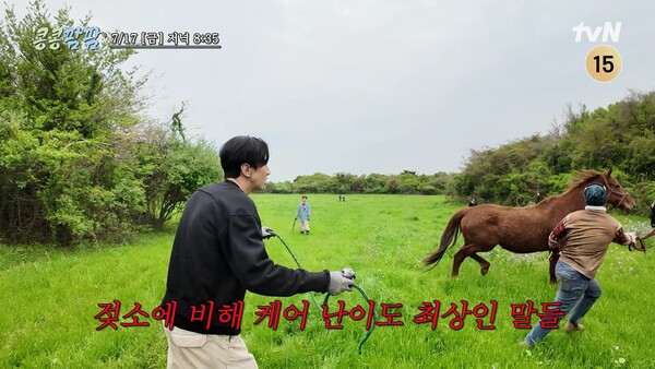 사진제공=tvN