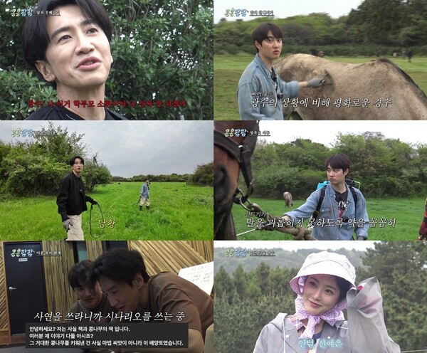 '콩콩팜팜' 방송화면 / 사진=tvN