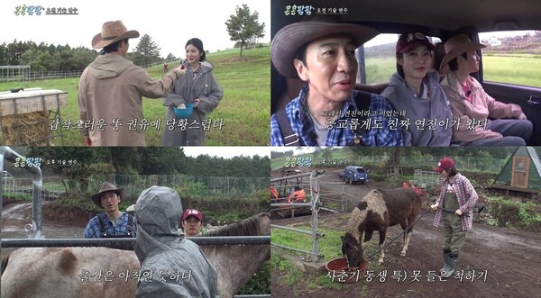 '콩콩팜팜' 방송화면 / 사진=tvN