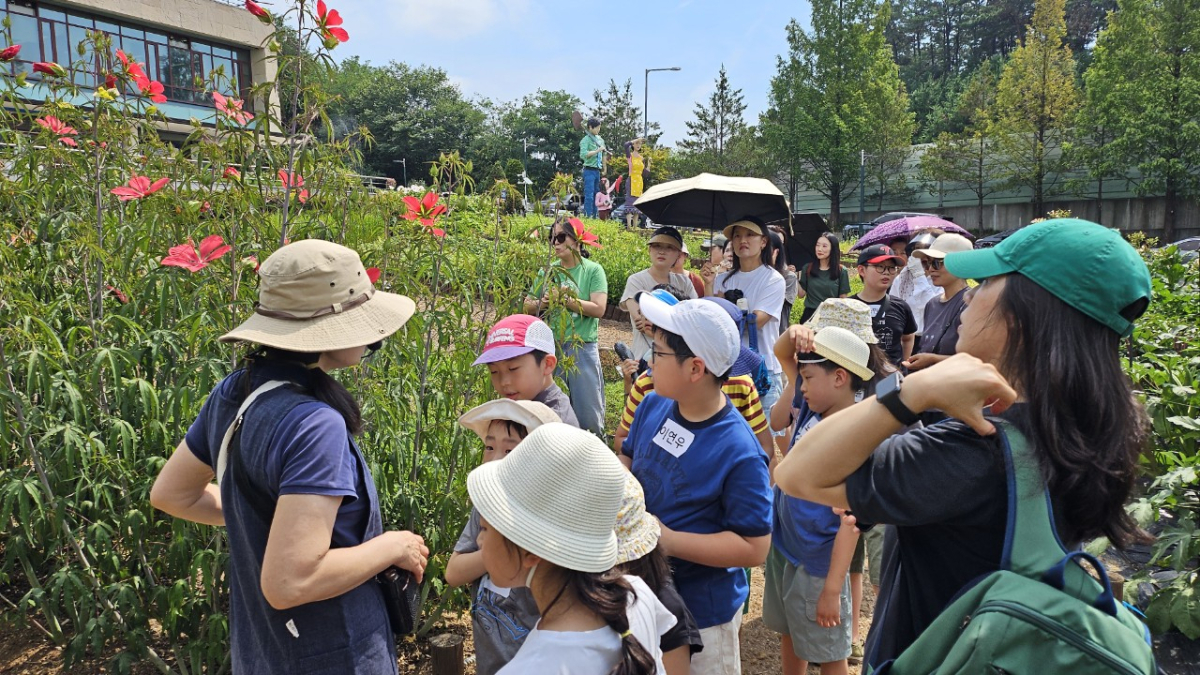 서울시는 초등학생 가족을 대상으로 약용식물, 허브를 포함한 다양한 식물 100여종과 장수풍뎅이 등 곤충을 관찰하며 만져볼 수 있는 '여름철 어린이 자연학교' 프로그램을 진행한다고 19일 밝혔다. /사진제공=서울시