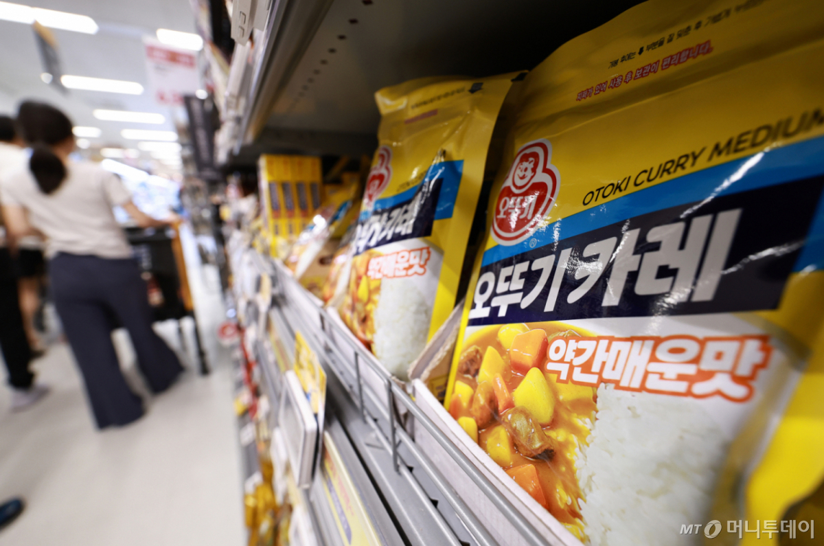 지난 17일 서울의 한 대형마트에 카레가루가 진열돼 있다. /사진=뉴스1