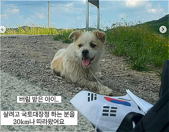 조금이라도 떨어지지 않으려 붙어 있던 유기견 공주. 필사적으로 따라왔단다./사진=유기견 입양홍보 계정 '럭키러버(@lucky.lover_s2)'