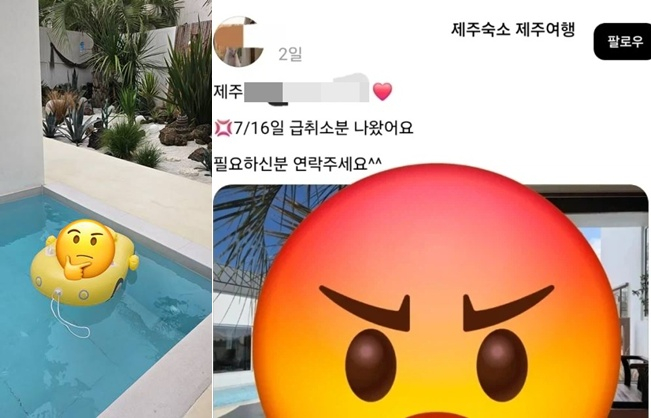 제주 한 영유아 동반 인기 펜션에서 인체에 해로운 토양 살충제를 사용해 투숙객 가족이 응급실을 찾은 사연이 전해져 공분이 일고 있다./사진=SNS