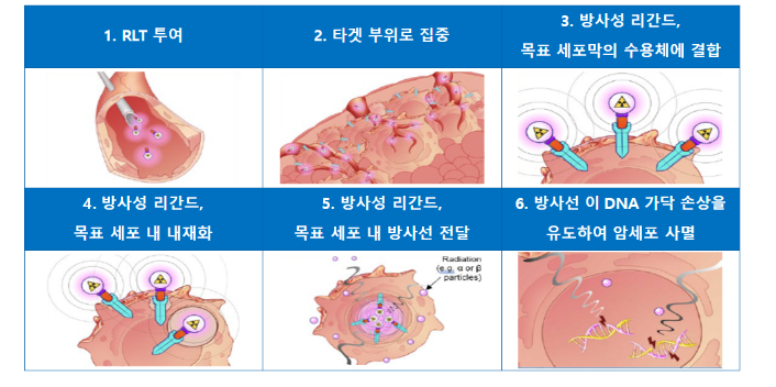 방사성의약품 작용 기전./사진=노바티스