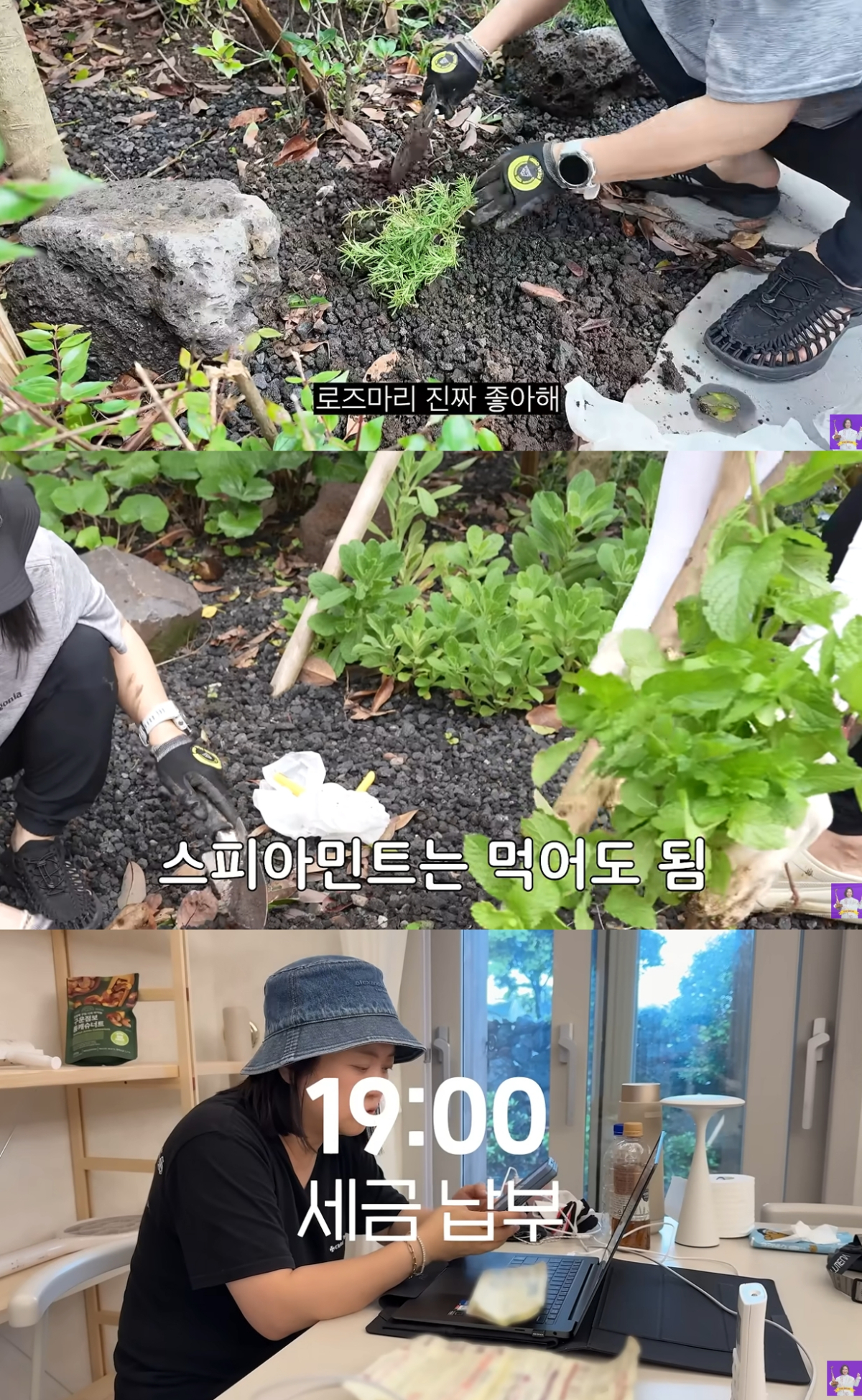 개그우먼 김숙이 제주 세컨하우스에 도착한 세금 고지서를 뒤늦게 확인했다. /사진=유튜브 영상 캡처