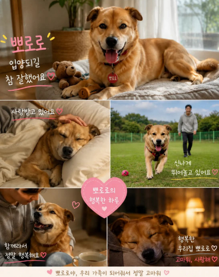 뽀로로가 언젠가 입양됐을 때 이런 하루를 보내길 바라며, 현 임보자가 만든 사진. 그대로 이루어지길./사진=뽀로로 입양 홍보 스레드 계정(@thebrave_pororo)
