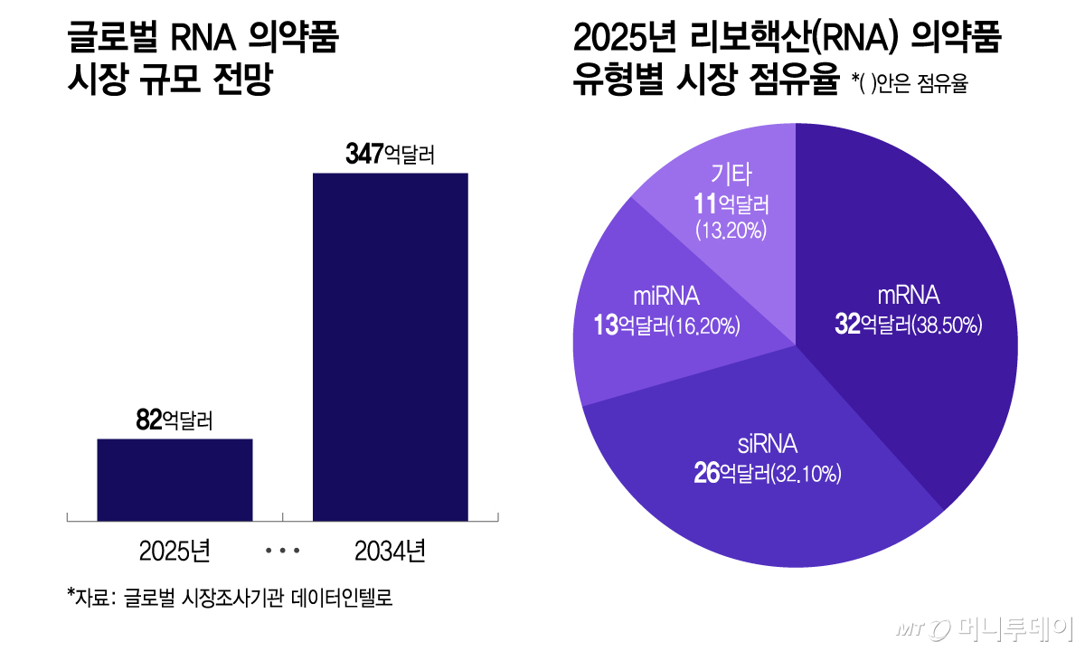 글로벌 RNA 의약품 시장 규모 전망, 2025년 리보핵산(RNA) 의약품 유형별 시장 점유율/그래픽=이지혜