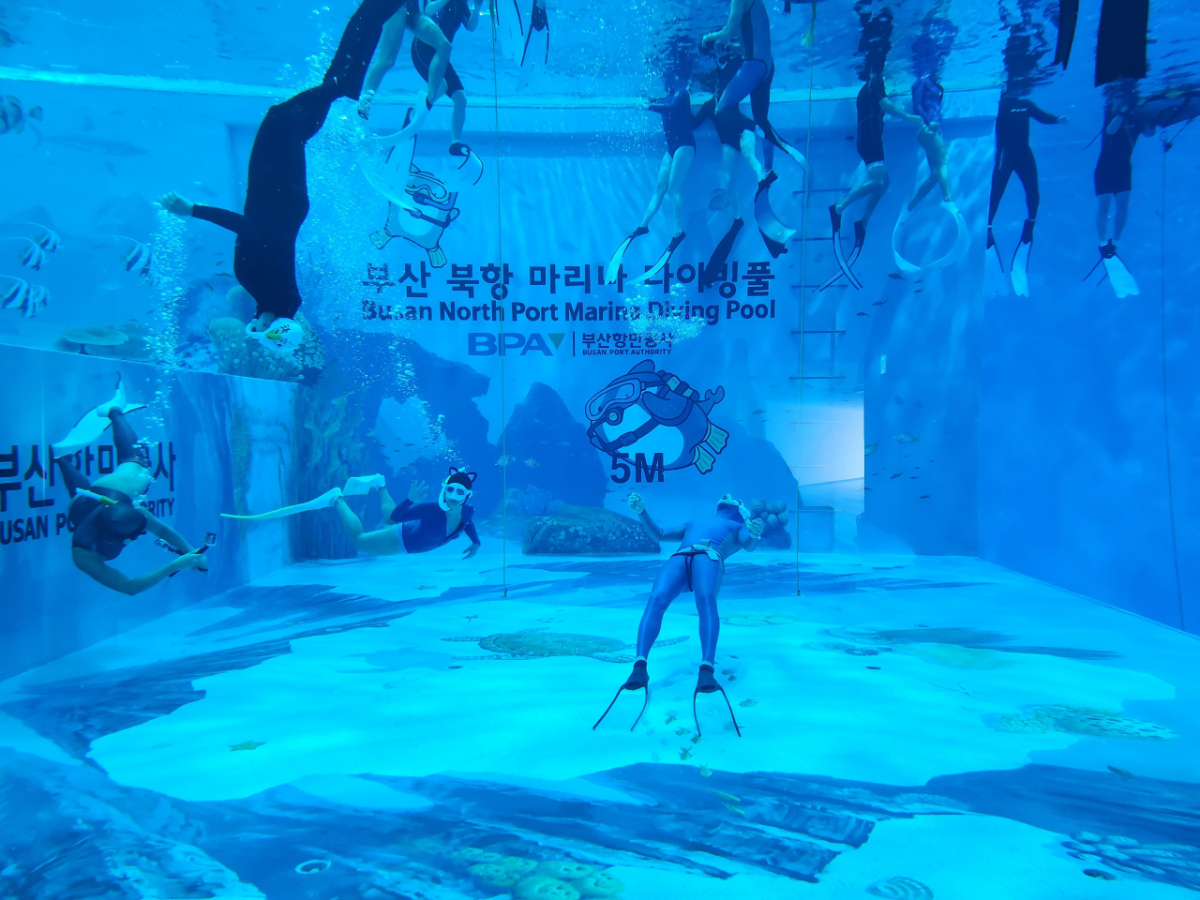 북항 마리나 다이빙풀./사진제공=BPA