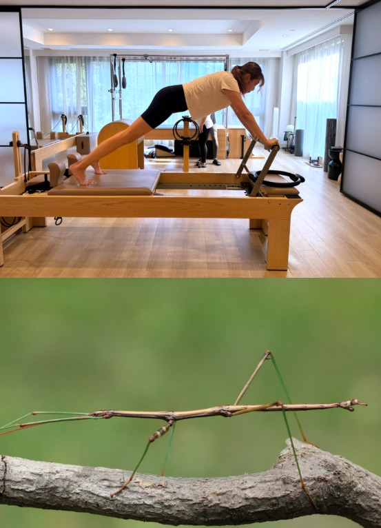 마츠오카 린. /사진=마츠오카 린 SNS 갈무리