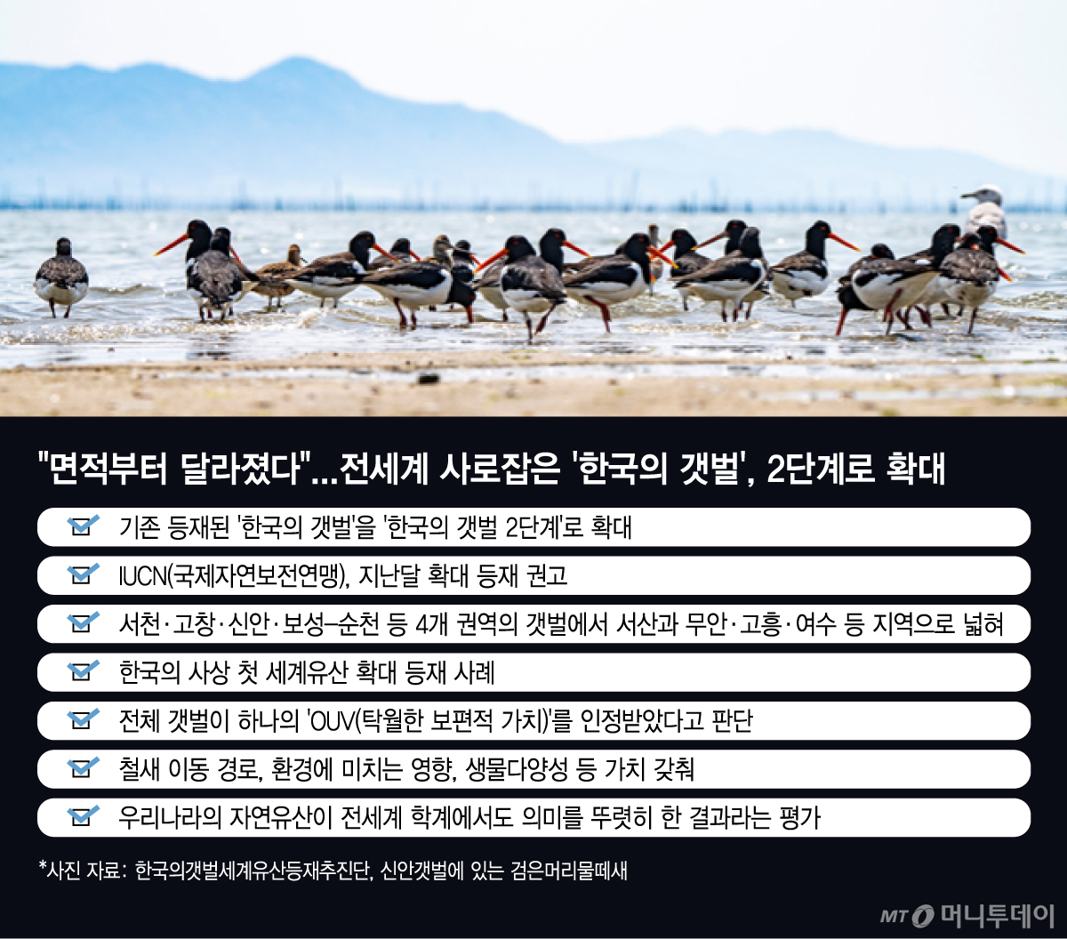 /그래픽 = 김지영 디자인기자