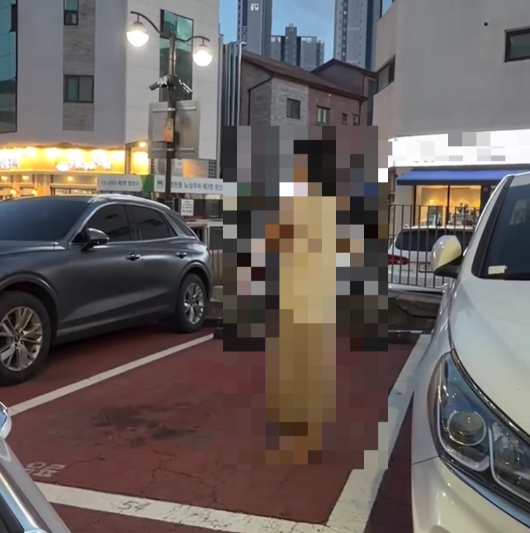 공영주차장 빈자리를 사람이 몸으로 막아 선점했다는 사연이 전해지며 '주차 자리 맡기' 행태에 대한 비판이 이어지고 있다. 사진은 한 여성이 주차 빈 자리를 맡고 있는 여성 모습. /사진=SNS 갈무리