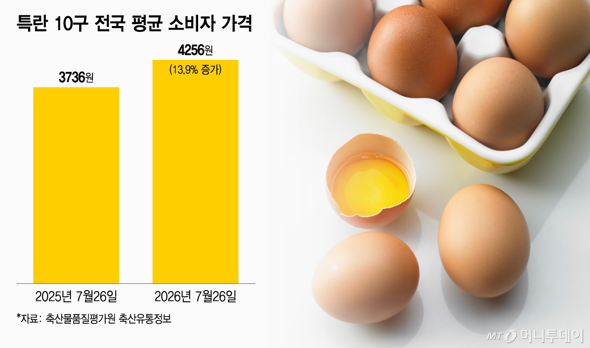 특란 10구 전국 평균 소비자 가격./그래픽=이지혜 디자인 기자.