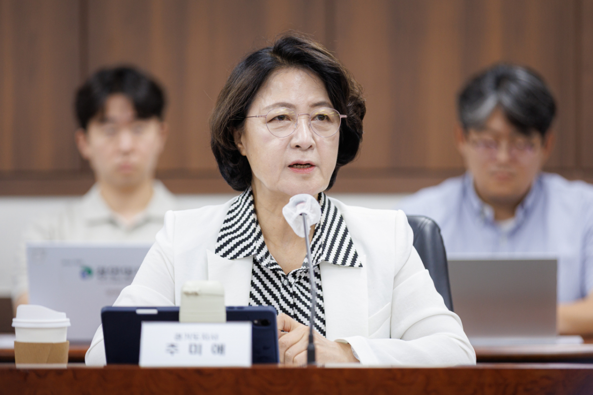 추미애 경기도지사가 27일 제2차 접경지역 평화안전 연석회의에서 발언하고 있다./사진제공=경기도