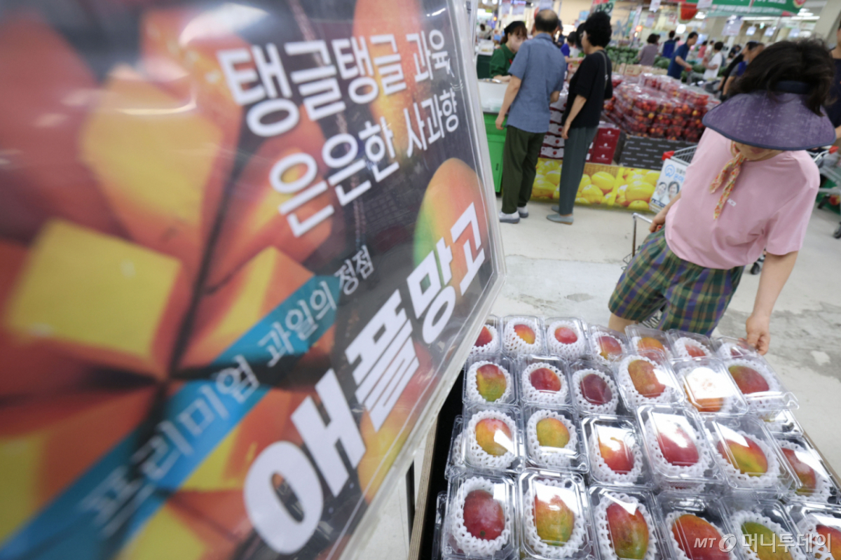 (서울=뉴스1) 이종수 기자 = 10일 서울 도봉구 창동 하나로마트에 망고가 진열돼 있다. 고유가와 고환율 기조가 이어지면서 올해 상반기 조기(16.9%), 쌀(15.1%), 인삼(14.6%), 망고(13.1%), 감자(10.5%) 등 주요 농축수산물 가격이 지난해 같은 기간보다 큰 폭으로 상승한 것으로 나타났다. 2026.7.10/뉴스1 Copyright © 뉴스1. All rights reserved. 무단 전재 및 재배포, AI학습 이용 금지. /사진=(서울=뉴스1) 이종수 기자
