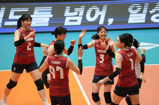 대한민국 여자배구 대표팀 선수들. /사진=대한배구협회 제공