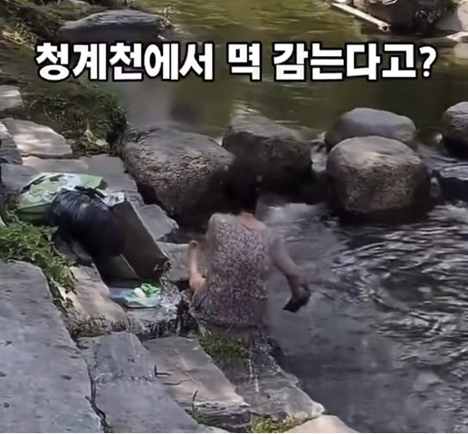 청계천에서 한 중년 여성이 목욕을 하고 있다. /사진=SNS 캡처