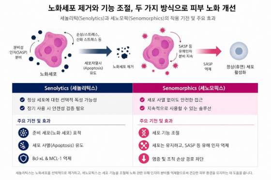 /자료=지에프씨생명과학