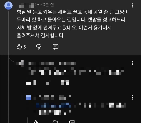 팀캣은 새덕후를 향해 "당신이 길고양이를 화두에 올린 뒤 각종 커뮤니티 고양이 혐오자들은 그 발언을 근거 삼아 죽임을 정당화하고 있다"며 "한 종을 제거하자는 주장은 폭력적인 단순화"라고 비판했다./사진=팀캣 인스타그램