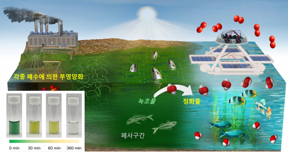 KIST는 청정에너지연구센터 오형석 박사 연구팀이 초물성전도소재연구센터 김남동 박사 연구팀·극한물성소재연구센터 조혜성 박사 연구팀과 공동으로 외부 전력 공급과 약품 운반 없이 햇빛만으로 작동하는 '무전원 자율 방제 수상 로봇'을 세계 최초로 개발했다고 31일 밝혔다./사진제공=KIST