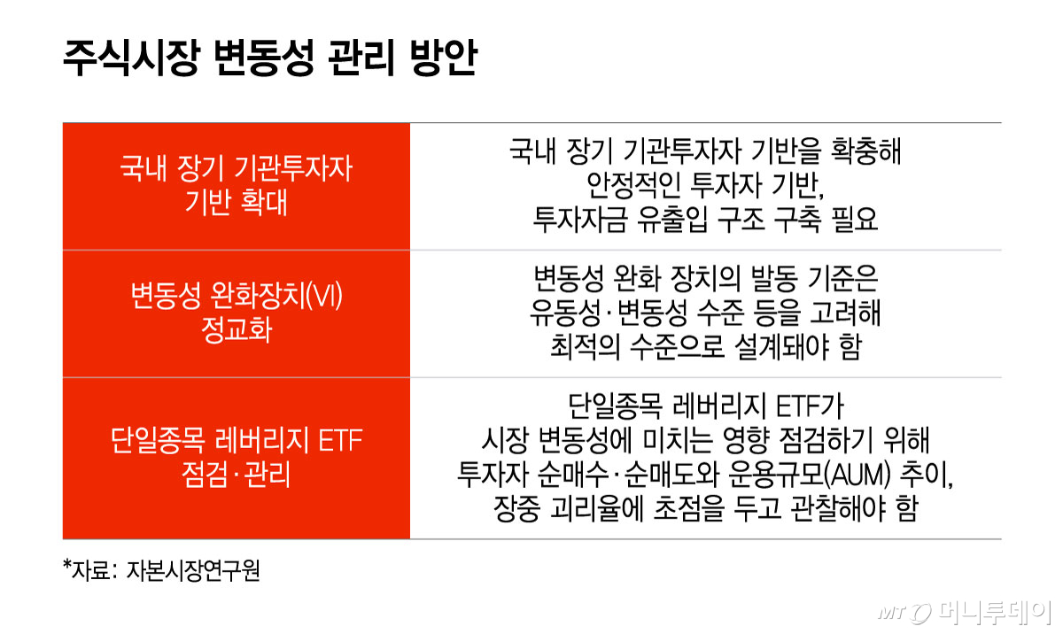 주식시장 변동성 관리 방안/그래픽=윤선정