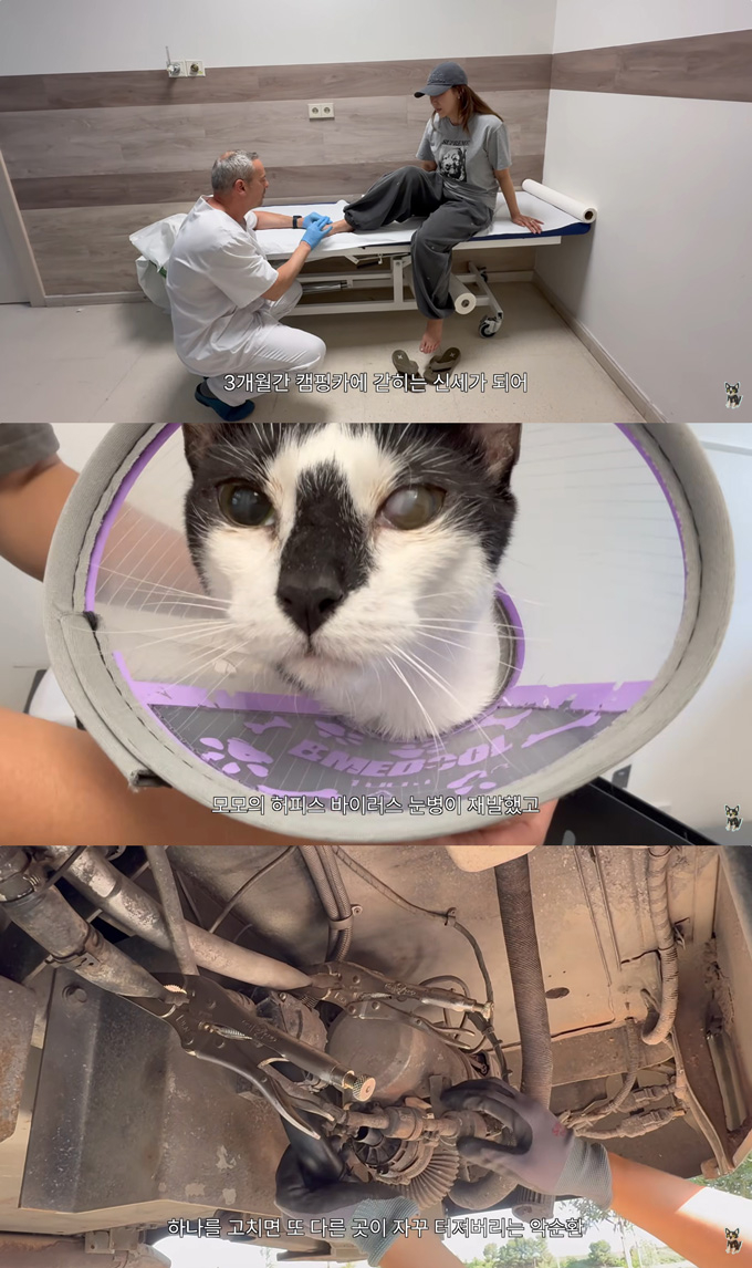 배우 민지영이 갑상선암 수술 5년 후 다시 암세포가 발견돼 완치 판정을 받지 못했다고 전했다. 여행을 재개했지만, 발가락을 다쳐 3개월 간 캠핑카 안에서 지내야만 했고, 반려 고양이 모모의 눈병이 재발하고, 캠핑카에도 문제가 생기는 등 악재가 이어졌다고 밝혔다. /사진=유튜브 채널 '민지영 TV' 영상