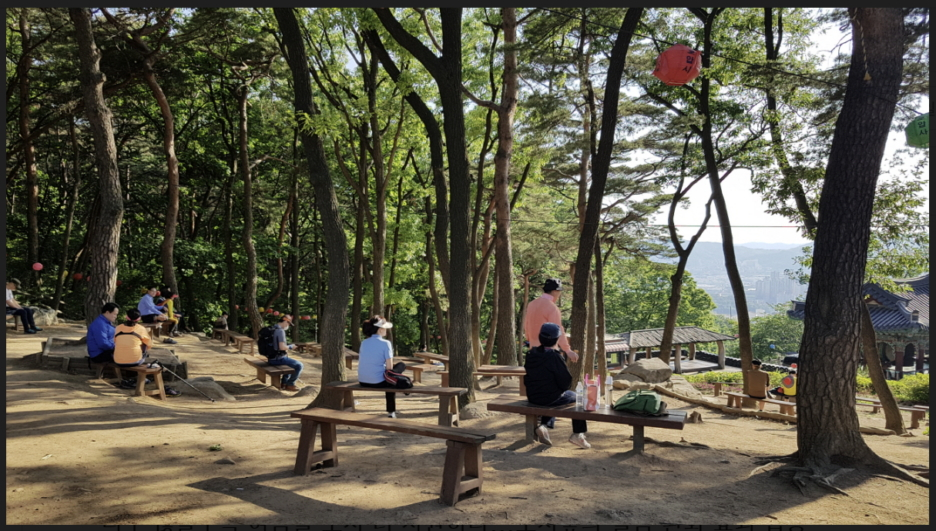 도시숲의 해택을 즐기는 시민들./사진제공=국립산림과학원