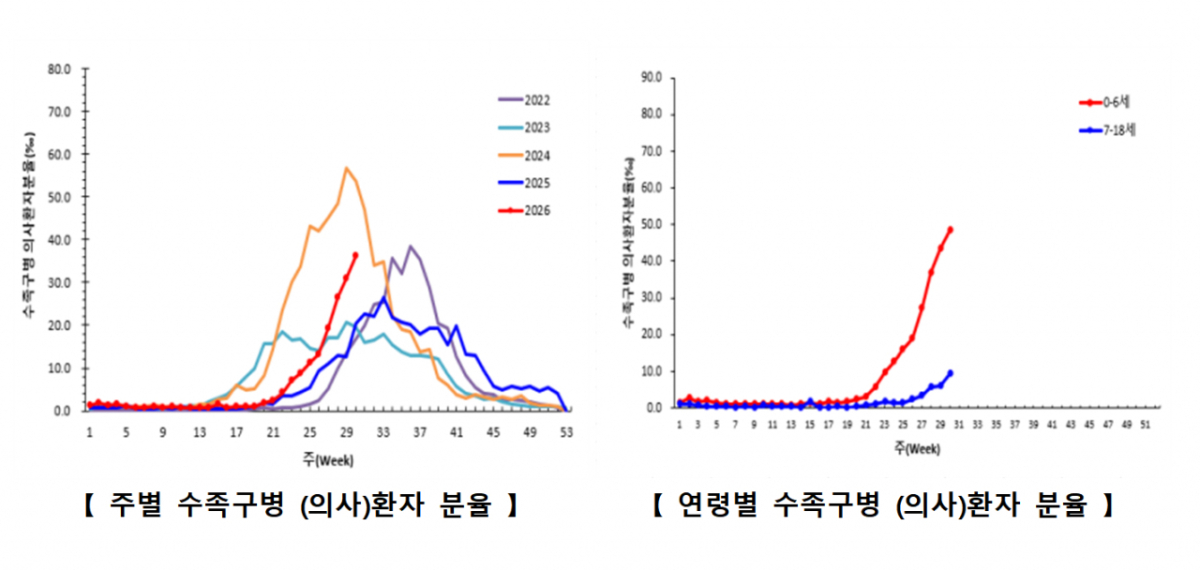 주별 및 연령별 수족구병 (의사)환자 분율. /사진제공=질병관리청