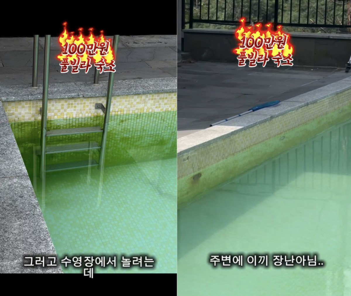 100만원이 넘는 비용을 지불하고 이용한 한 풀빌라의 위생 상태와 시설 관리 실태를 담은 후기가 확산하며 누리꾼들의 공분을 사고 있다. 사진은 해당 풀빌라 수영장에 이끼가 가득차 있는 모습. /사진=SNS 갈무리