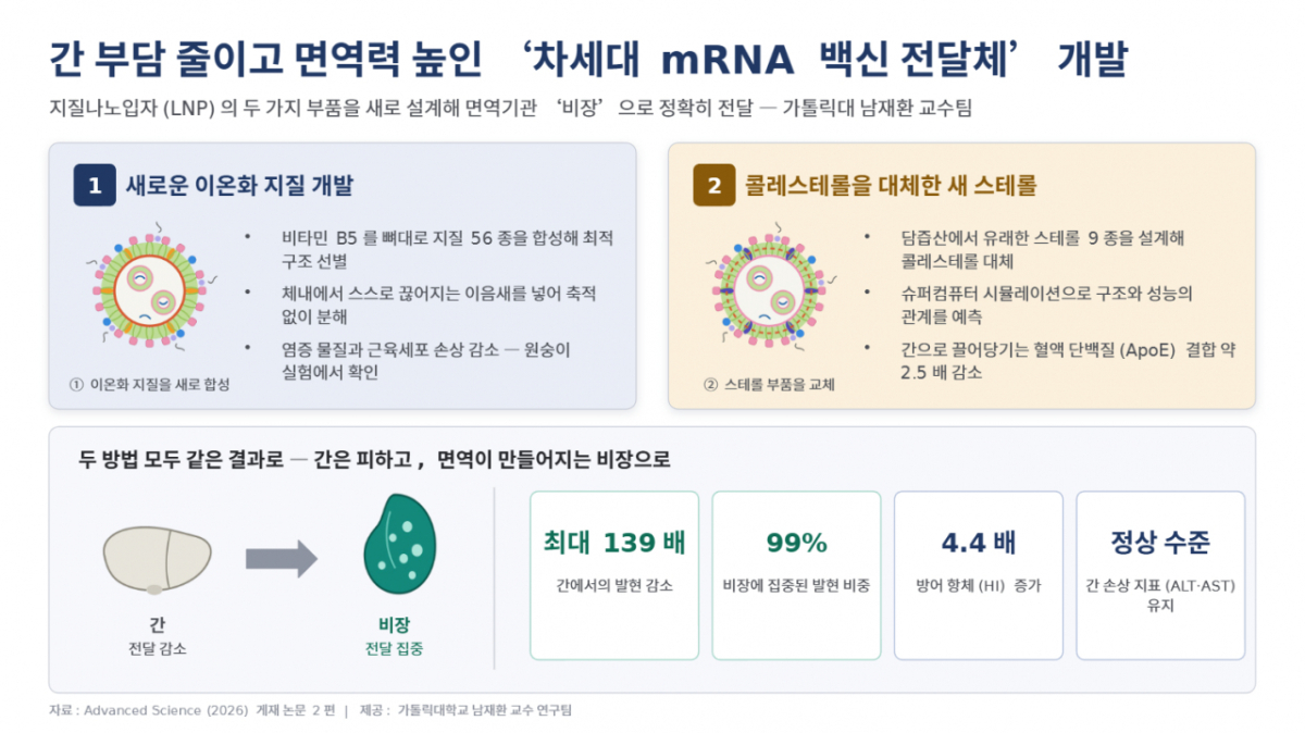 차세대 mRNA 백신 전달체의 설계 원리와 효과./사진제공=가톨릭대 연구팀