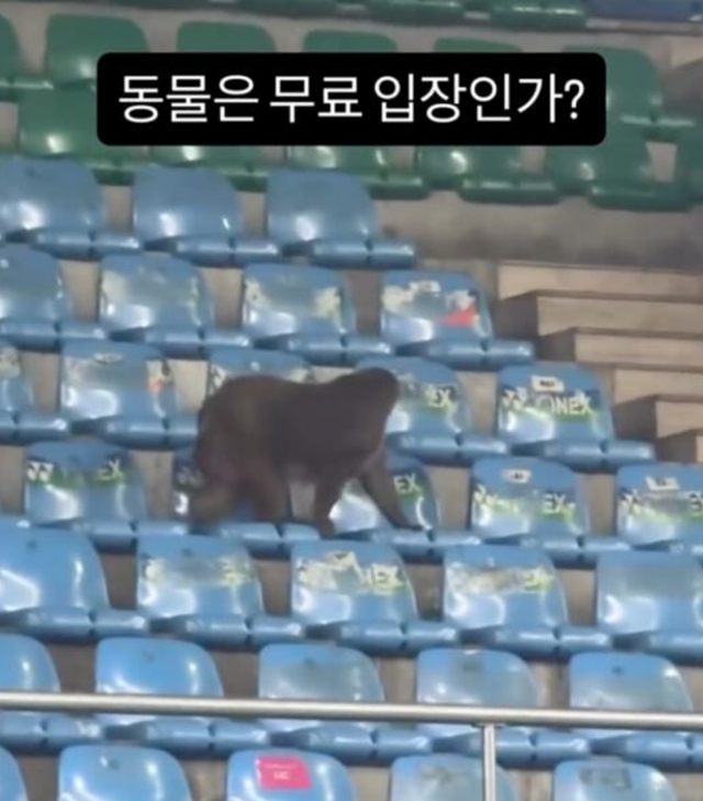 당시 강민혁이 올렸던 SNS 게시물. /사진=SNS 캡처