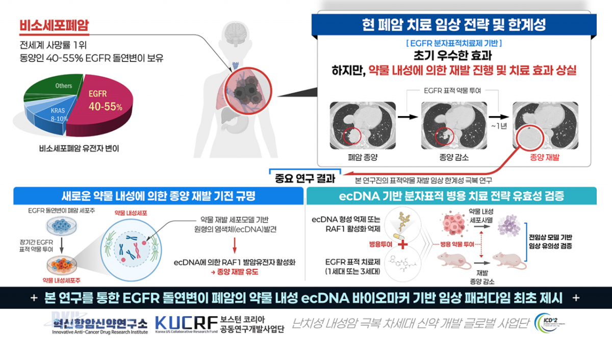 조정희 단국대 의생명시스템학전공 교수팀의 연구자료 이미지./사진제공=단국대
