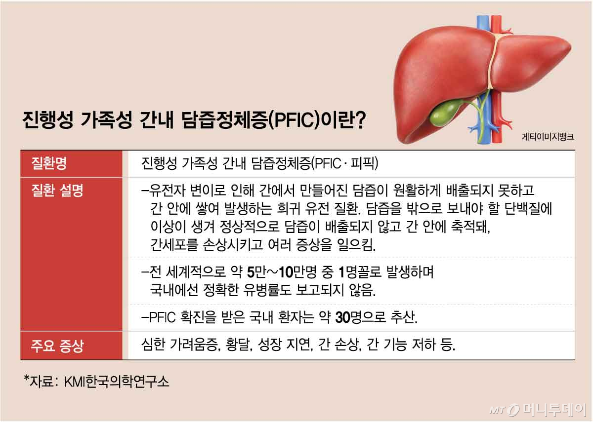 진행성 가족성 간내 담즙정체증(PFIC)이란. /그래픽=김현정 디자인기자