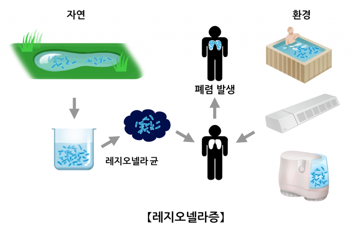 레지오넬라균에 감염되는 다양한 경로. 에어컨도 그중 하나로 지목된다. /자료=서울아산병원