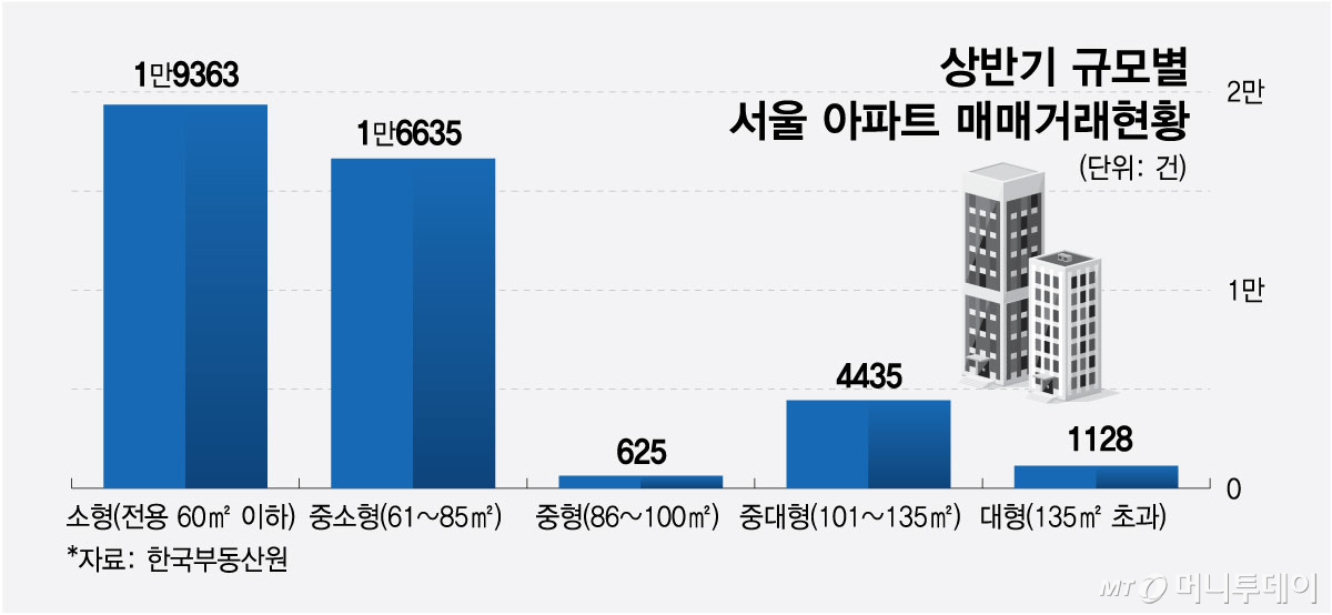 상반기 규모별 서울 아파트 매매거래현황/그래픽=최헌정