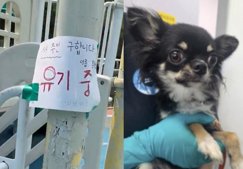 폭염 속 놀이터에 반려견 유기한 30대 여성 입건됐다/사진=SNS 갈무리